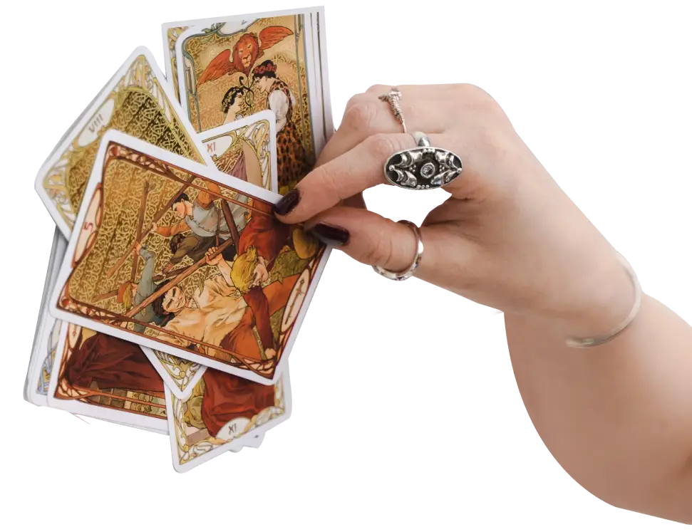 best tarot card reader in India