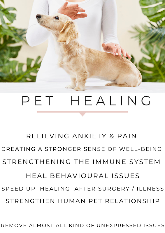 pet healing