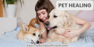 Pet Healing Service in India